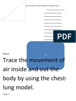 Breathing Mechanism Activity