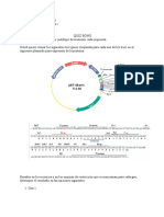 Clonación de genes en plásmido pET28a