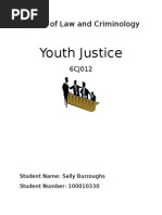 Youth Justice: School of Law and Criminology