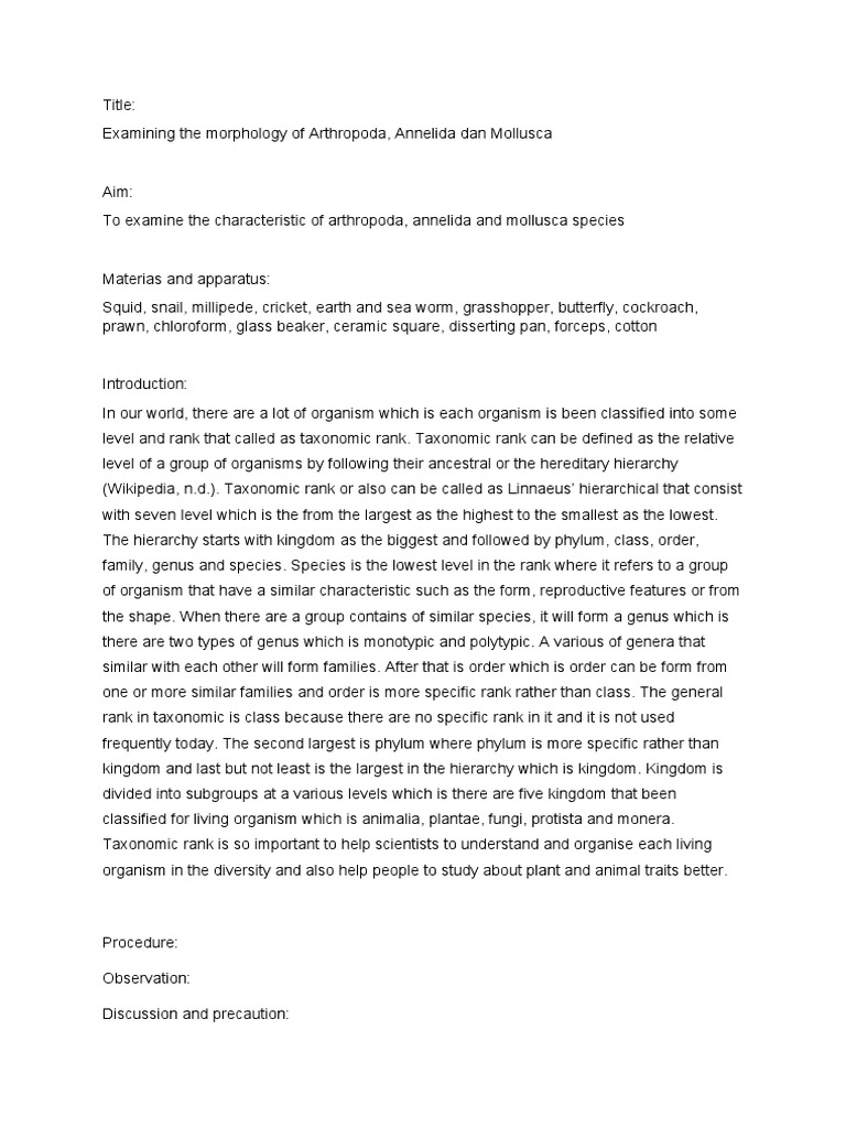 Lab report kingdom animalia | PDF