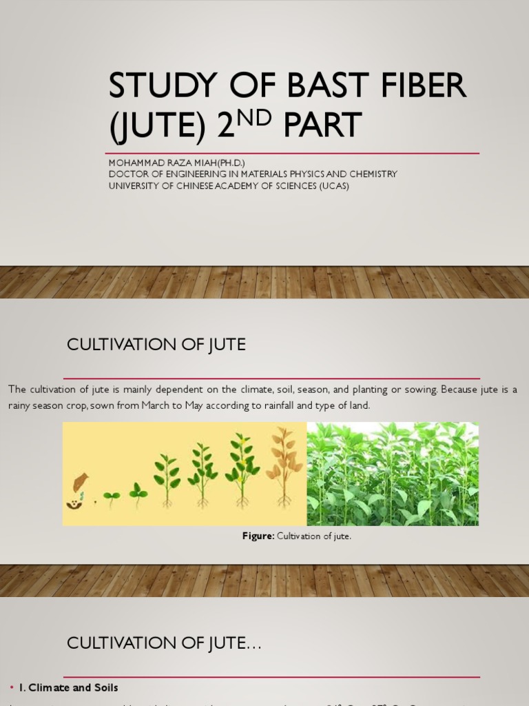Ye 101 Lecture 6 Jute 2nd Part Pdf Jute Agriculture
