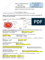 Gametogénese e ciclo sexual