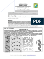 9 Guia Ciencias N 1 Adn y Arn