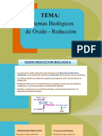 Sistemas Biológicos y de Oxido - Reducción