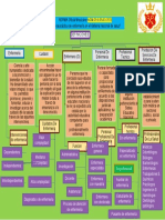 Nom-019 Enfermeria Mapa Conceptual