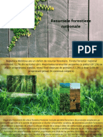 Sig 1 Resursele Forestiere Nationale