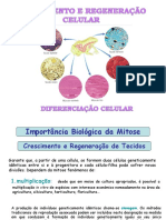 Importância Biológica da Mitose na Multiplicação e Regeneração Celular