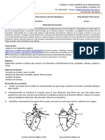 Práctico #14 Disección de Corazón CL