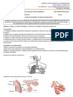 Práctico #17 Respiratorio II CL