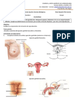 Práctico #21 Genitales CL