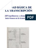 A-03 Unidad de Transcripciã N