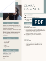 Social Media CV Resume