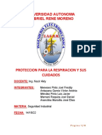 Informe - Proteccion para La Respiracion y Sus Cuidados PDF