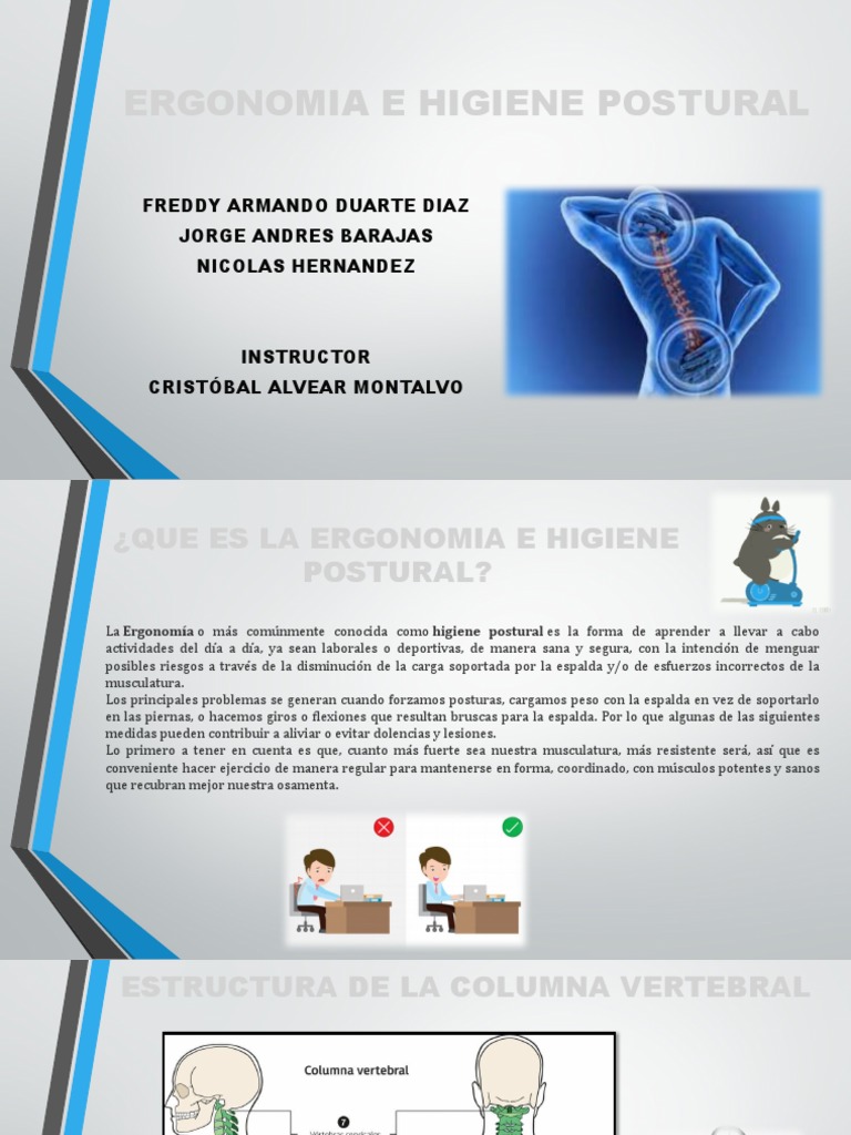 Ergonomía y Ejercicios de Higiene Postural | PDF | La columna vertebral ...