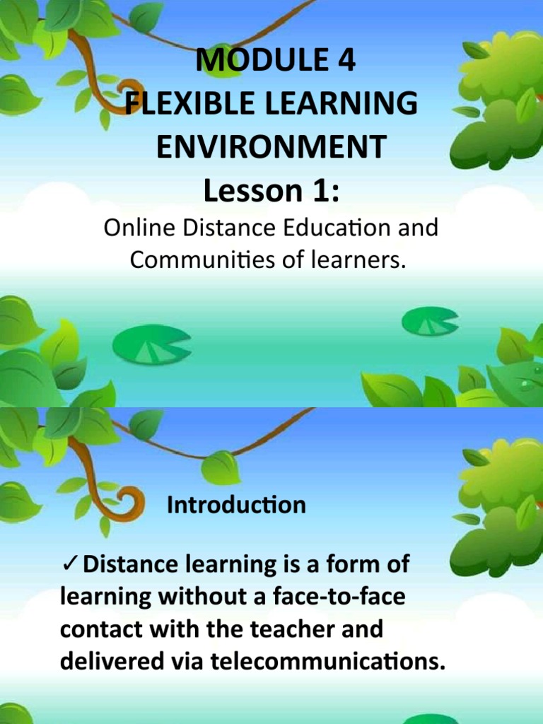 Online Distance Education Overview | PDF
