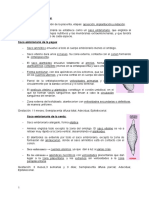 Resumen de TEMA 4 - PLACENTACIÓN