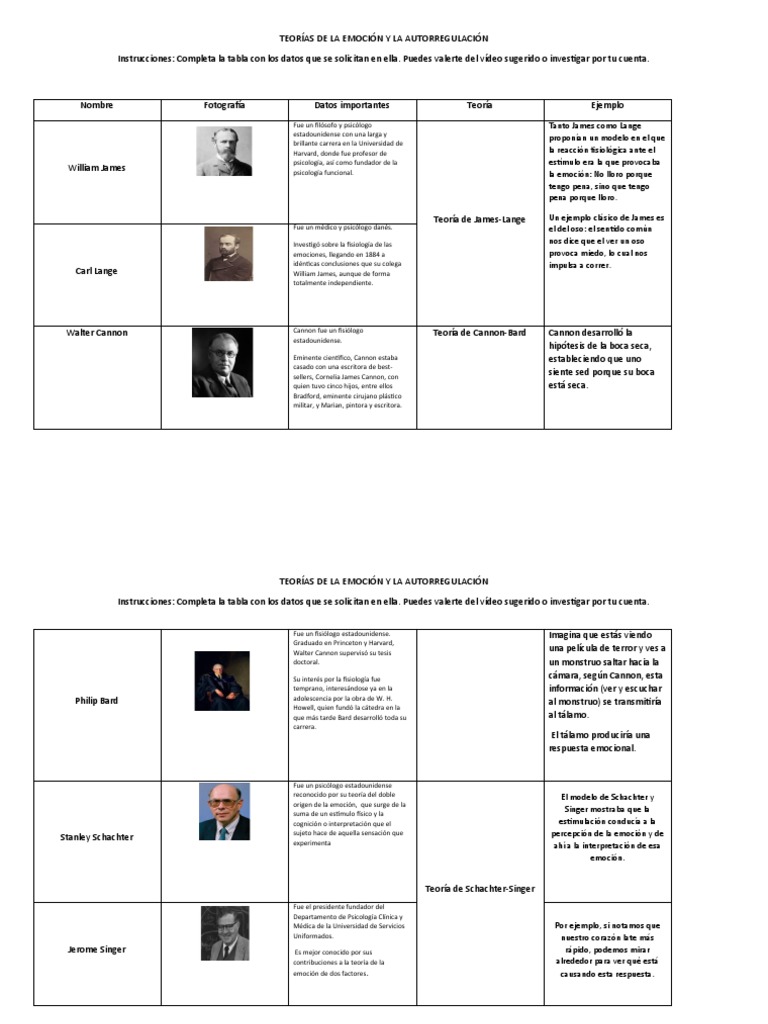 Teorías de la Emoción y Autorregulación | PDF | Las emociones ...
