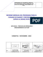 Informe Programa Manos y Caidas - Noviembre