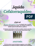 Liquido Cefalorraquideo