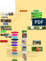 Mapa Mental Agroecologia