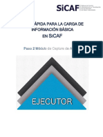 Ejecutor - Guia - 2 Sicaf