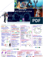 Biologia 12 Pizarras Resumenes Completa