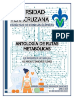 Antología de Rutas Metabólicas