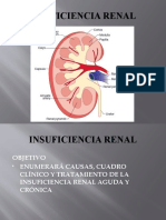 Insuficiencia renal