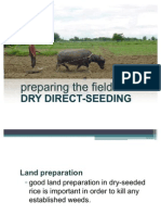 Preparing the Field for DDS