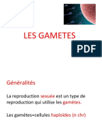 Cours 2 Gamete Femelle 2021