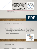 Fisiopatologia Obstruccion Urinaria Baja