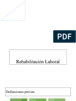 Bases de La Rehabilitación Laboral