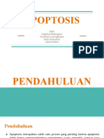 Tugas Divisi Bedah Onkologi-KL (APOPTOSIS)