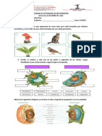 Evaluación de Recuperación Ciencias 4