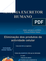 Sistema Excretor Humano