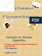 SISTEMA-DIGESTORIO