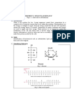 WORKSHEET 2 Molecular Biology