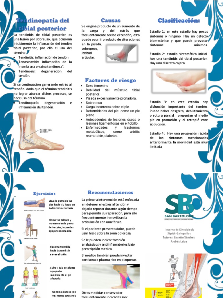 Tendinopatía del Tibial Posterior: Guía | PDF | Pie | Epidemiología, image size:768x1024
