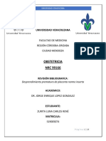 RevisiónBibliografica DPPNI CarlosRenéZuritaLuna