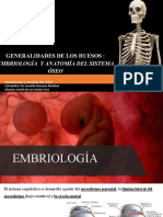 Anatomía y Embriología de Los Huesos