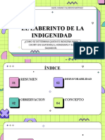 El Laberinto de La Indigenidad-1