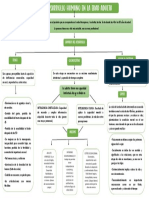 Mapa Conceptal Desarrollo