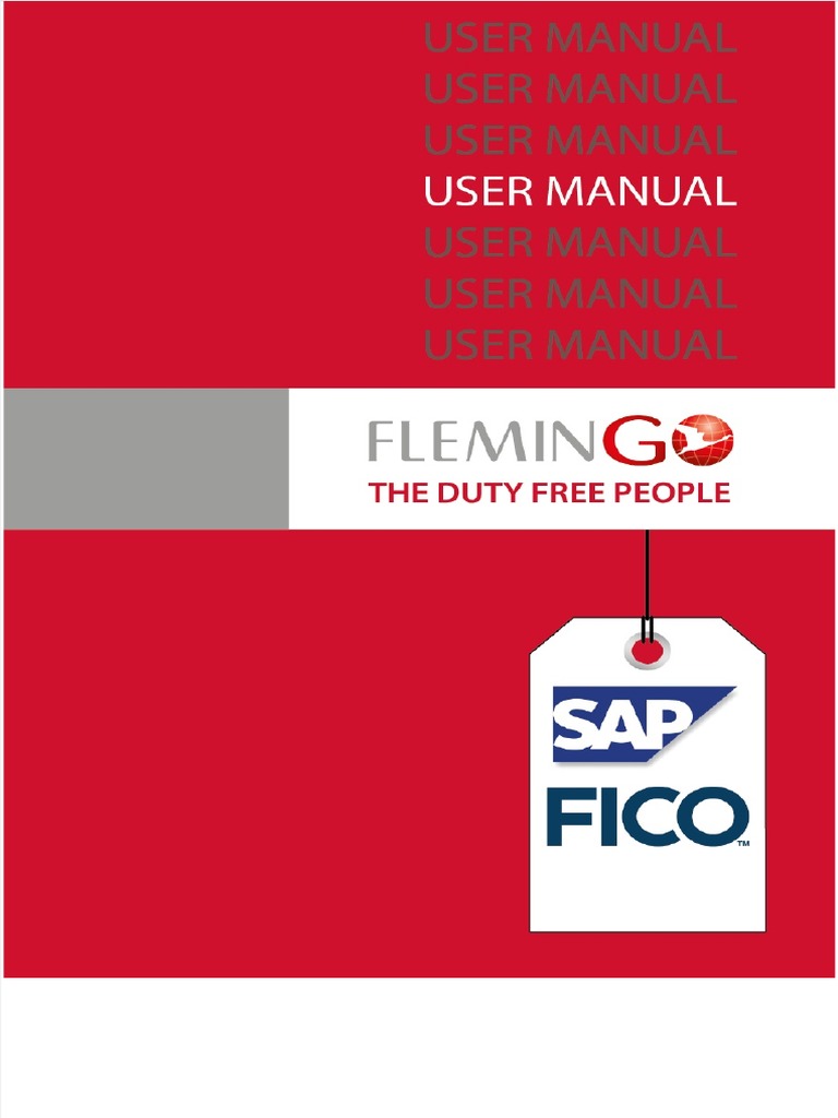 SAP FICO User Guide for Flemingo | PDF | Accounts Payable | Debits And ...
