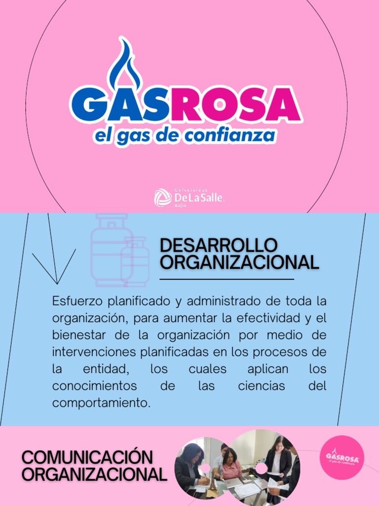 Presentación Gas Rosa Final PDF Calidad Comportamiento