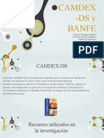 CAMDEX y BANFE