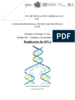 Replicação Do DNA