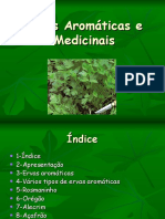 ervas-aromticas-e-medicinais-1233048818553180-1