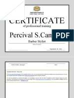 Certificate Professional Training