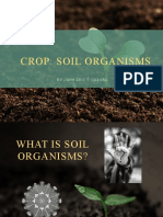 Importance of soil microorganisms in crop production