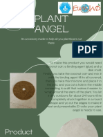 Plant Angel